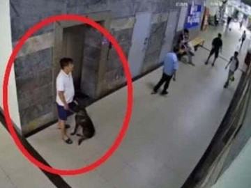 Nhắc đeo rọ mõm cho chó, thành viên ban quản trị chung cư ở Hà Nội bị hành hung