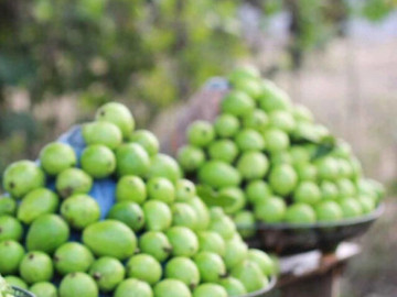 Sức khỏe - Loại quả tốt nhất thế giới có ở Hà Nội, trồng một lần thu hoạch nhiều năm, thành đặc sản tốt cho sức khoẻ