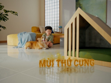 Liệu nước lau sàn có thể khử mùi hôi mà vẫn an lành cho thú cưng?