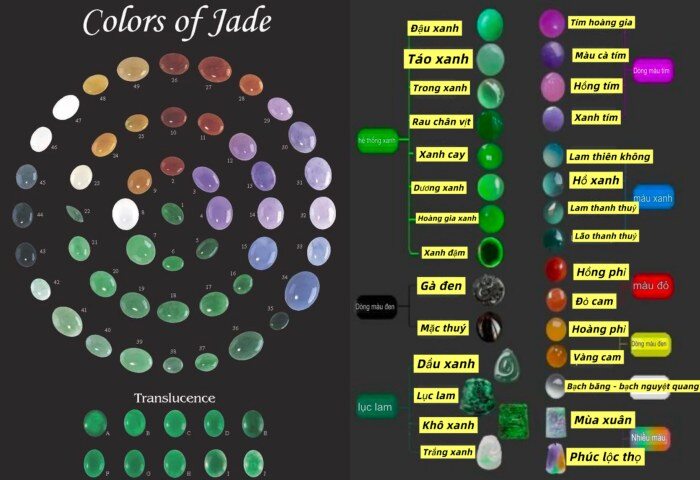 Phỉ thúy là loại ngọc có bảng màu rất phong phú do hình thành từ các nguyên tố khoáng khác nhau trong lòng đất. Nhờ đó, cùng một loại đá nhưng có thể xuất hiện nhiều gam màu như xanh lục, tím, đỏ, vàng, trắng, đen, lam hoặc đa sắc. Trong số này, xanh lục là màu nổi bật và được ưa chuộng nhất trên thị trường.