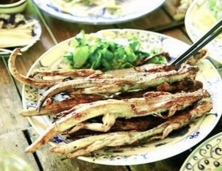 Thằn lằn núi là món ăn dân dã nhưng mang đậm dấu ấn địa phương, góp phần làm nên nét riêng cho ẩm thực Tây Ninh.