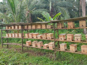 Nuôi loài vật chăm chỉ nhất nhì thế giới, cứ 6 tháng cho thu hoạch thành phẩm, người nông dân vươn lên làm giàu
