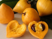 Lifestyle - Cà phê kem lêkima: Thức uống sẽ soán ngôi cà phê kem dẻo Buôn Mê?