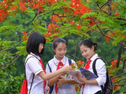 Lịch nghỉ hè năm 2026 của học sinh cả nước