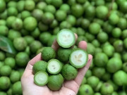 Sức khỏe - Loại quả đang vào mùa nhiều chị em thích mê, xóc muối - ngâm đường đều ngon nhưng dễ phạm 2 điều cấm kỵ khi dùng