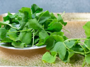 Sức khỏe - Loại rau được ví như “nhân sâm tự nhiên”, tốt cho sức khỏe nhưng người Việt lại coi là cỏ dại, thường nhổ vứt bỏ?