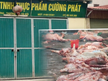 300 tấn thịt lợn bệnh "vây hãm" bếp ăn trường học: Hiệu trưởng có vô can?