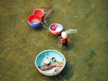Người dân Gia Lai phơi nắng, ngâm mình 10 tiếng giữa cửa biển cào ốc ngọc trai
