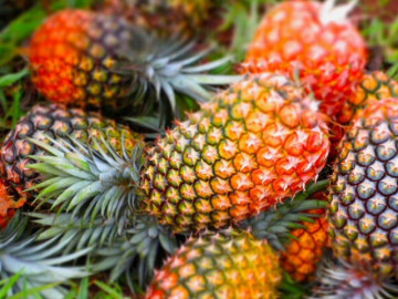 12 loại quả ít “ngậm” thuốc trừ sâu, giàu vitamin, được bán đầy chợ Việt với giá rẻ bèo, 10.000 đồng là có thể mua