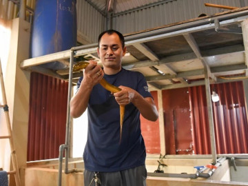 Mô hình nuôi lươn "độc lạ" trên tầng thượng ở Bắc Ninh, hiệu quả bất ngờ