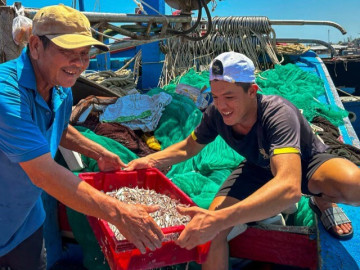 Trúng đậm cá cơm, ngư dân phấn khởi ngày tàu cập bến