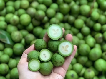 Loại quả đang vào mùa nhiều chị em thích mê, xóc muối - ngâm đường đều ngon nhưng dễ phạm 2 điều cấm kỵ khi dùng