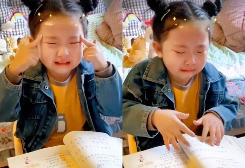 Mỗi mùa thi đến là các búp măng non lại ra sức ôn tập. Cũng từ đây, loạt ảnh ôn thi bá đạo ra đời khiến ai xem cũng cười chảy nước mắt.
