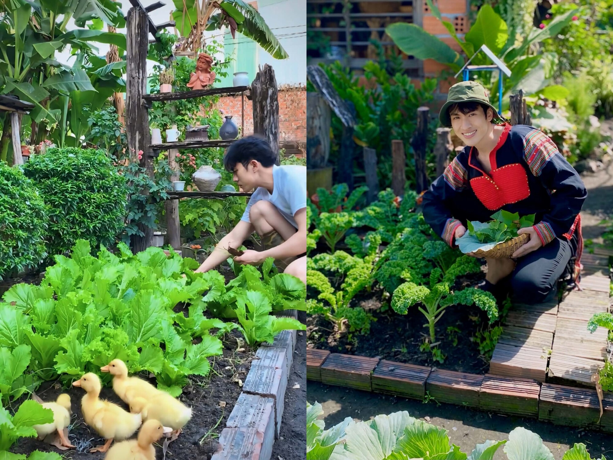 Chàng trai Tây Nguyên điển trai chăm chỉ làm vườn.