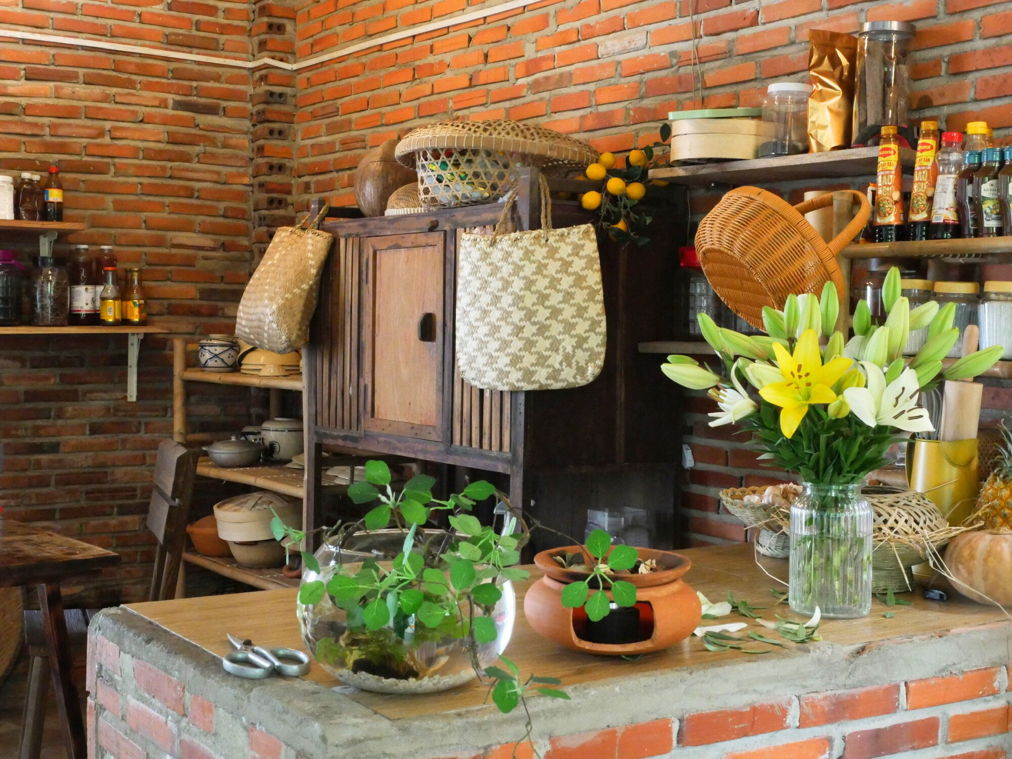 Chỉ với hơn 1 triệu đồng, mẹ đảm Đồng Nai biến 50m² đất trống thành khu vườn xanh mướt, đẹp như tranh - 5