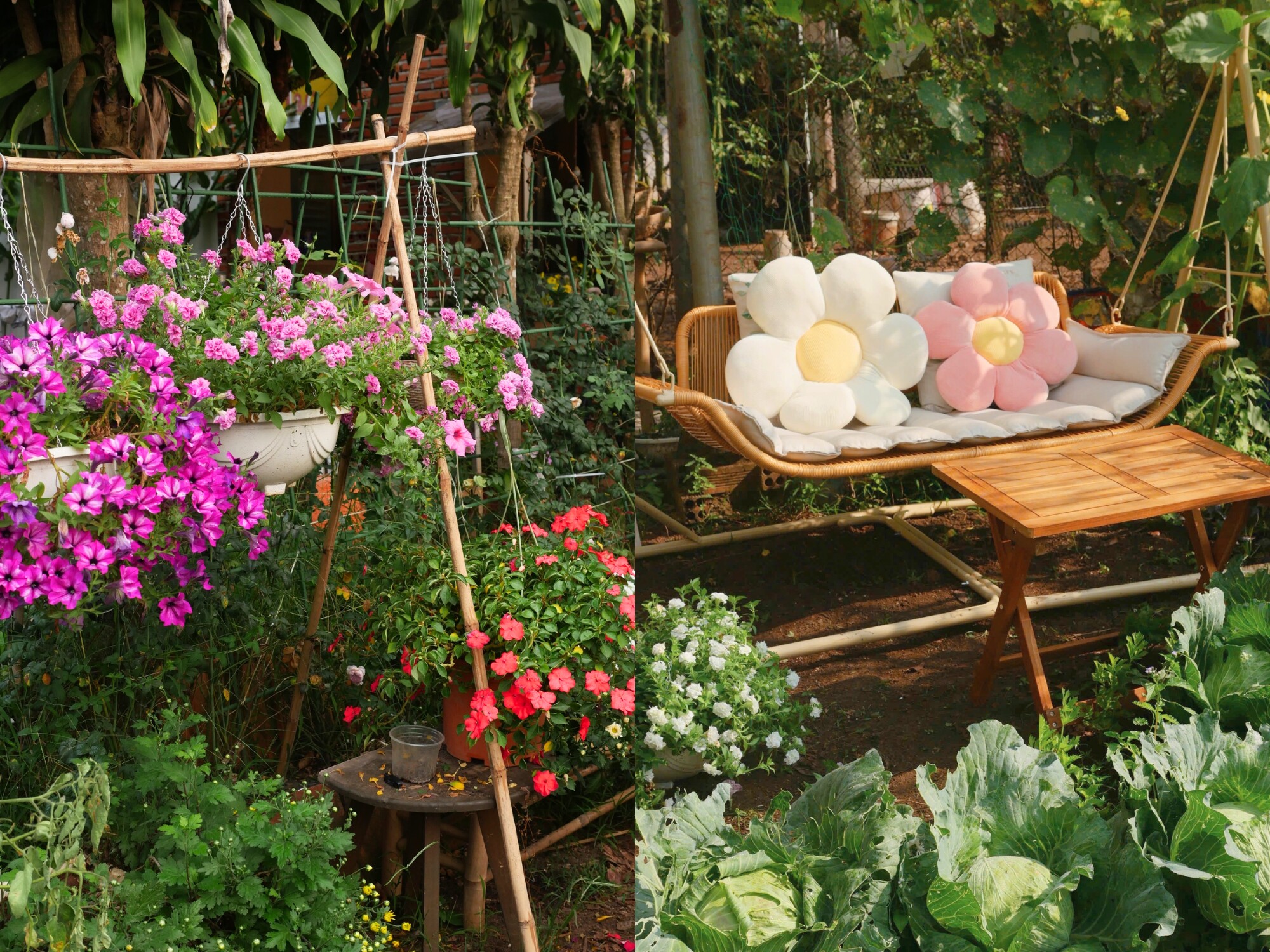 Chỉ với hơn 1 triệu đồng, mẹ đảm Đồng Nai biến 50m² đất trống thành khu vườn xanh mướt, đẹp như tranh - 6