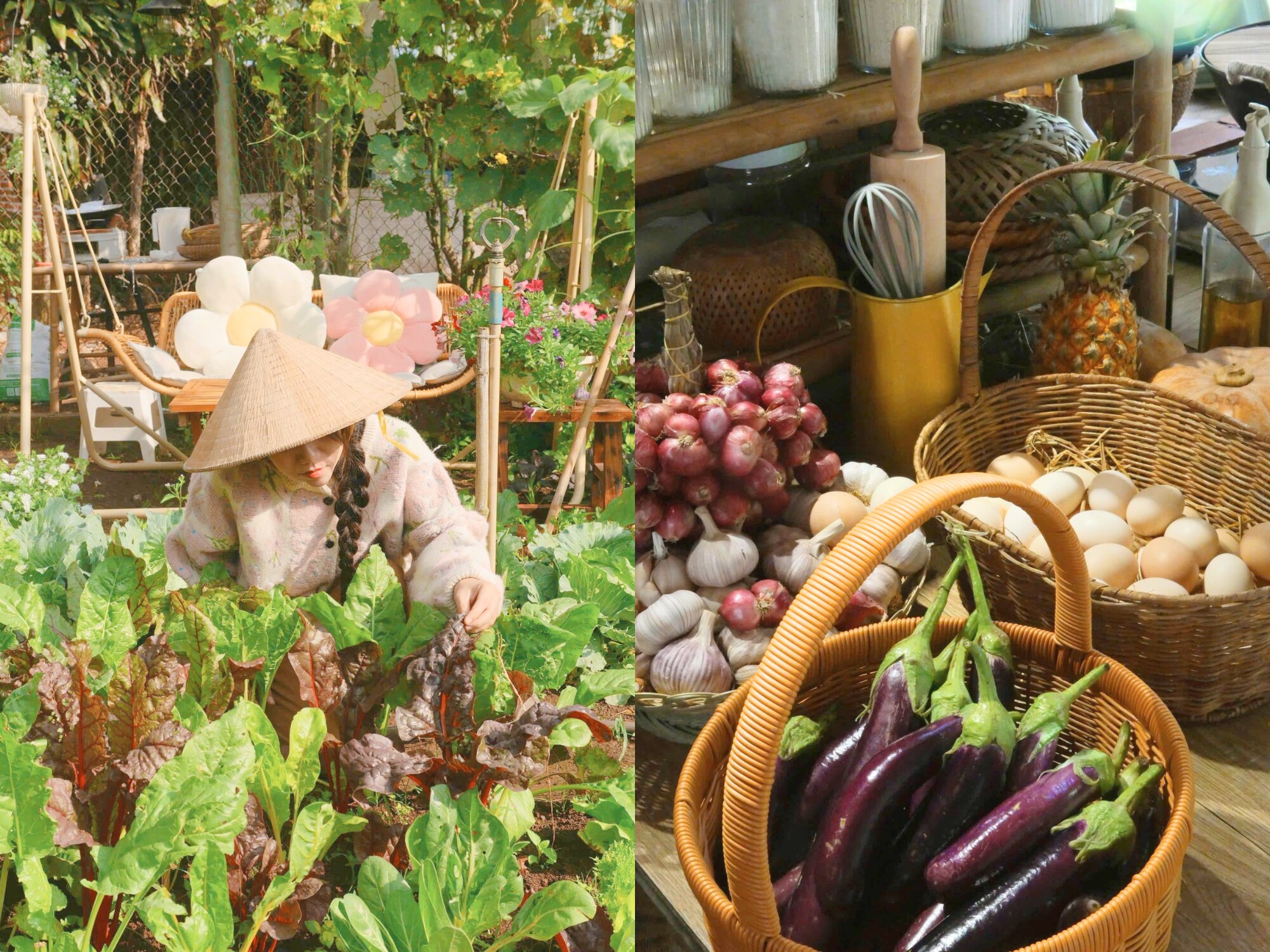 Chỉ với hơn 1 triệu đồng, mẹ đảm Đồng Nai biến 50m² đất trống thành khu vườn xanh mướt, đẹp như tranh - 7
