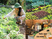 Nhà đẹp - Chỉ với hơn 1 triệu đồng, mẹ đảm Đồng Nai biến 50m² đất trống thành khu vườn xanh mướt, đẹp như tranh