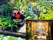 Nhà đẹp - Chỉ tốn vài chục nghìn đồng, chàng hotboy dân tộc biến 576m² đất trống thành khu vườn sum suê, rau củ ăn hoài không hết
