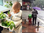 Yêu con - Cảnh các "búp măng non" tận tình phục vụ bố mẹ, dân tình cười đau ruột "thấy cũng tội mà thôi cũng kệ"