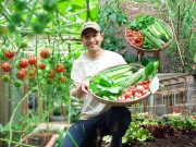 Nhà đẹp - Sang Nhật Bản du học, chàng trai Gia Lai biến khu đất sau nhà thành vườn rau củ xanh mướt, mang đậm sắc Việt