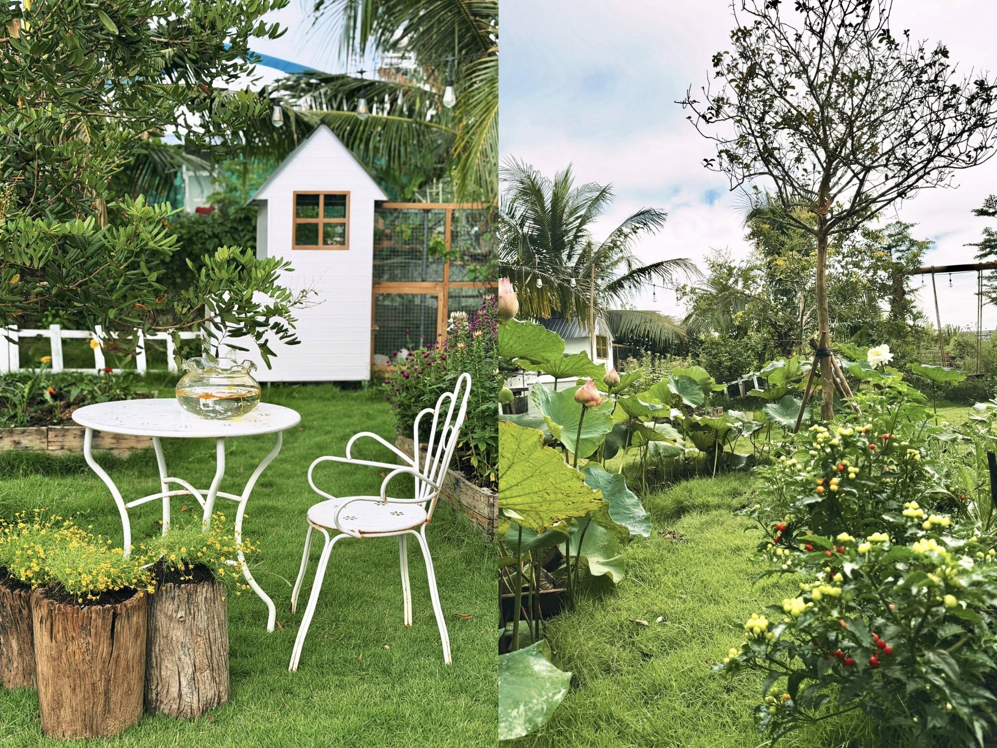 Nghỉ việc văn phòng ở nhà chăm con, mẹ 9X chi 900 triệu xây nhà vườn 1000m2 ở Vĩnh Long đẹp như cổ tích - 6