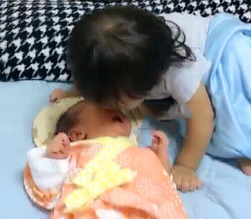 Người mẹ tỉnh giấc vì tiếng con khóc giữa đêm, vừa bật đèn thấy con gái có hành động khó tin với em sơ sinh - 3