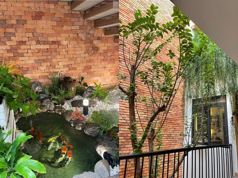 Cặp vợ chồng U40 Phú Thọ làm nhiều công việc, kiếm tiền xây căn nhà 2 tầng phủ đầy cây xanh, đẹp mát mắt - 10