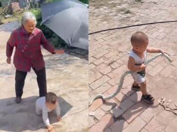 Ông bà "khóc mếu" khi đón các cháu về quê ăn Lễ, mới vài ngày đã đòi trả về nơi sản xuất