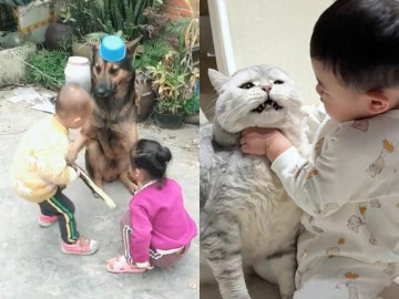 Cười ra nước mắt với 1001 kiếp nạn của "khối trông nhà" khi chăm "khối nghỉ hè"