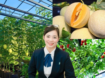 Mẹ đảm Hải Phòng ban ngày làm giám đốc ngân hàng, tối lên sân thượng làm nông dân, trồng khu vườn đẹp mê