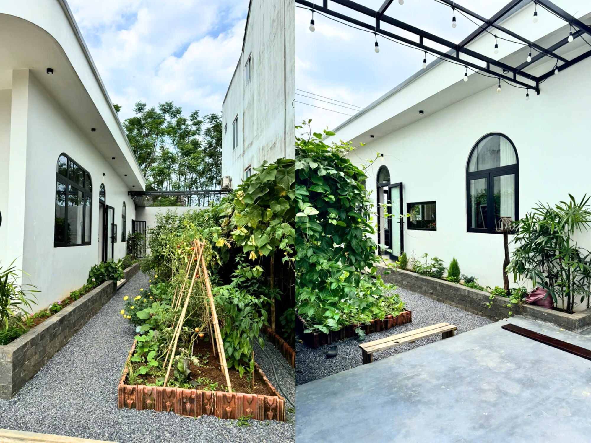 Xuất khẩu lao động trở về quê, mẹ bỉm U30 Quảng Trị tích luỹ gần 1 tỷ xây căn nhà có khu vườn đẹp mê - 3