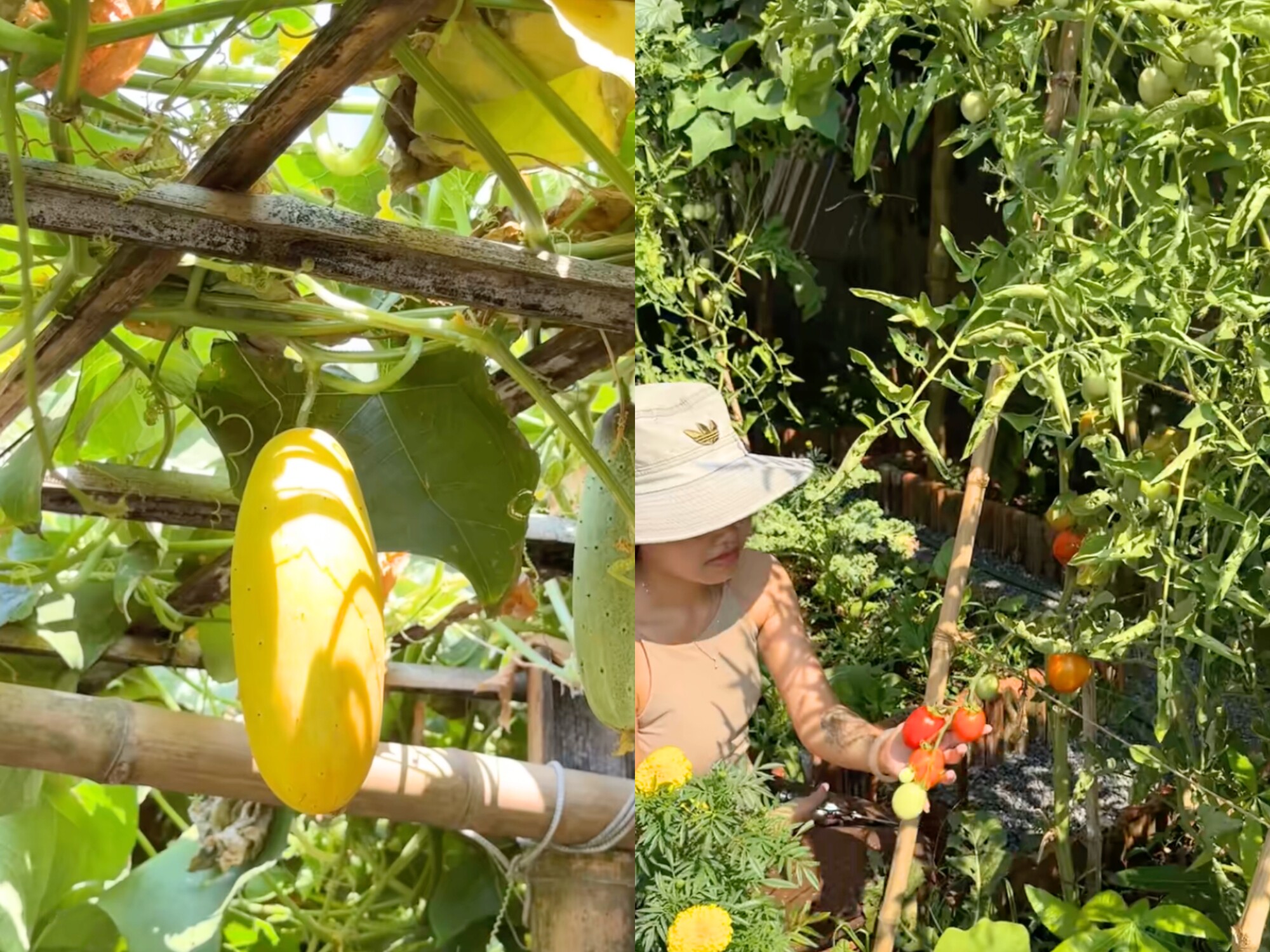 Xuất khẩu lao động trở về quê, mẹ bỉm U30 Quảng Trị tích luỹ gần 1 tỷ xây căn nhà có khu vườn đẹp mê - 9