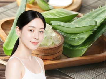 5 cách làm đẹp với nha đam giúp da bớt khô ráp, giảm cảm giác nóng rát ngày Hè