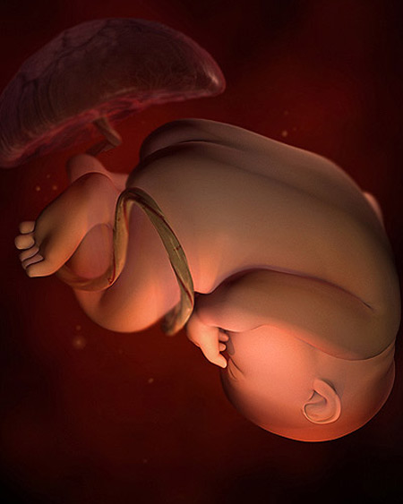 Thai nhi 38 tuần: Sữa non sẵn sàng cho bé - 1