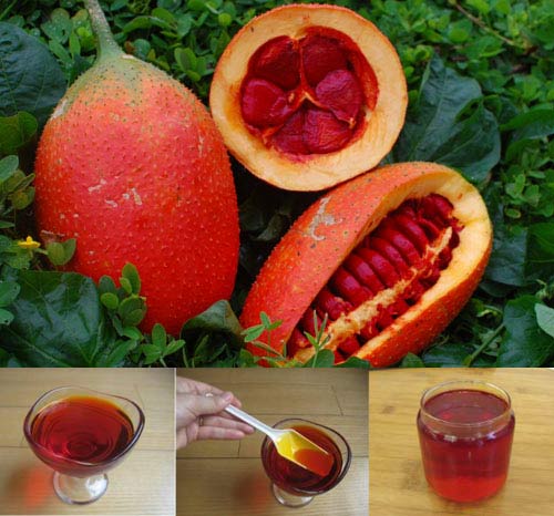 “Cân” các loại dầu ăn cho vào cháo bột - 2