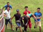 Tin tức - Sự cố trâu húc chết người tại lễ hội chọi trâu Đồ Sơn 2017: Ban tổ chức nói gì?