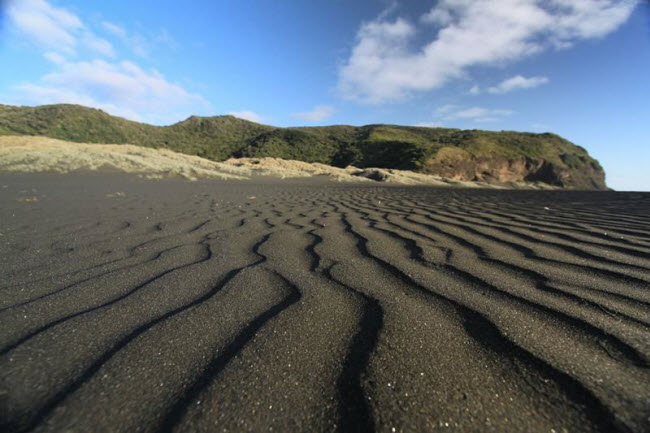 Vẻ đẹp ngoạn mục của bãi biển cát đen Muriwai Beach ở New Zealand.
