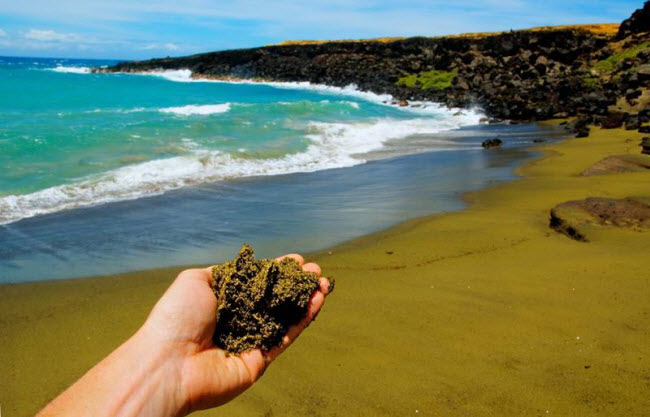 Màu xanh của bãi biển Papakolea Beach được tạo ra bởi dung nham núi lửa và khoáng chất olivin.
