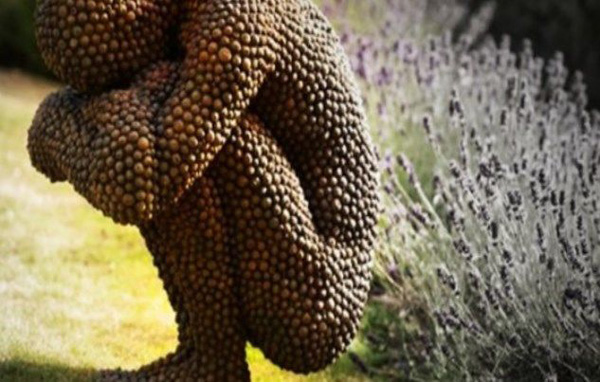 Những bức ảnh đơn giản mà khiến triệu người bị ám ảnh, ngủ cũng thấy kinh hoàng - 8