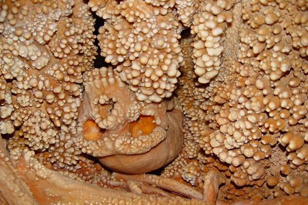 Những bức ảnh đơn giản mà khiến triệu người bị ám ảnh, ngủ cũng thấy kinh hoàng - 10