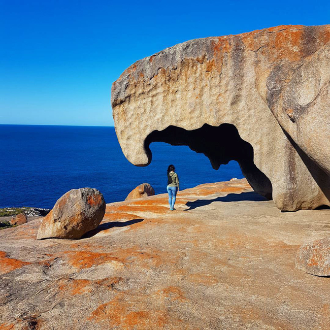 21. Đảo Kangaroo: Đến đảo Kangaroo, bạn sẽ choáng váng bởi địa hình độc đáo của núi đá Remarkable và Admirals Arch tọa lạc tại công viên Flinders Chase. Như bước ra từ phim khoa học viễn tưởng, những hình khối đá được chạm khắc bởi thiên nhiên này nằm cheo leo trên đỉnh một vách đá hướng ra biển.
