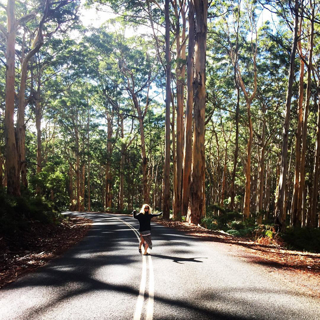 22. Rừng Boranup Karri: Dạo qua rừng cây bạch đàn Karri xinh đẹp cao ngất ở Boranup luôn là một trải nghiệm thích thú dành cho các du khách. Ánh nắng mặt trời xuyên qua tán cây tạo nên khung cảnh huyền diệu cho cả khu rừng.
