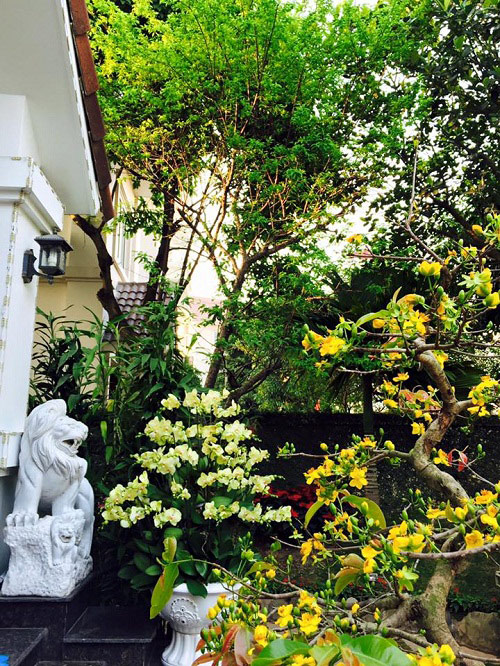 Chốn đi về đẹp như mơ của bốn nam MC Việt tài năng, nổi tiếng - 15