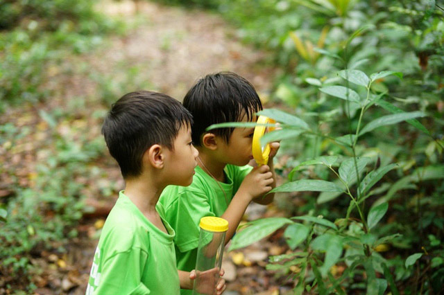Sao Việt nô nức rủ nhau cho con vào rừng dã ngoại ngày hè - 5