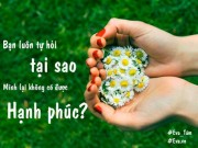 Eva tám - Đừng ngồi đợi, hạnh phúc sẽ chẳng đến tìm ai bao giờ