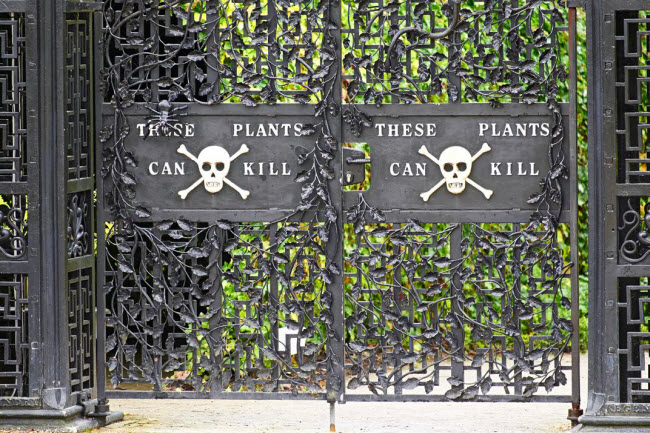 Cổng được sơn màu đen với tấm biển cảnh bào du khách về những loài cây cực độc trong khu vườn Alnwick ở Northumberland, Anh. Đây là nơi trồng hơn 100 loài thực vật chứa chất độc có thể làm chết người.

