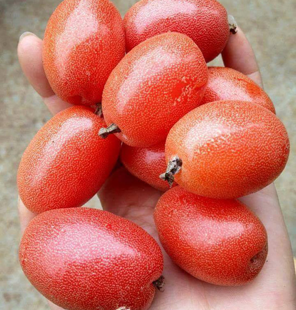 Dân tình nô nức ôn lại những món ăn vặt “thần thánh”, ai từng ăn chứng tỏ đã rất già - 2