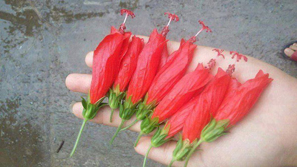 Dân tình nô nức ôn lại những món ăn vặt “thần thánh”, ai từng ăn chứng tỏ đã rất già - 3