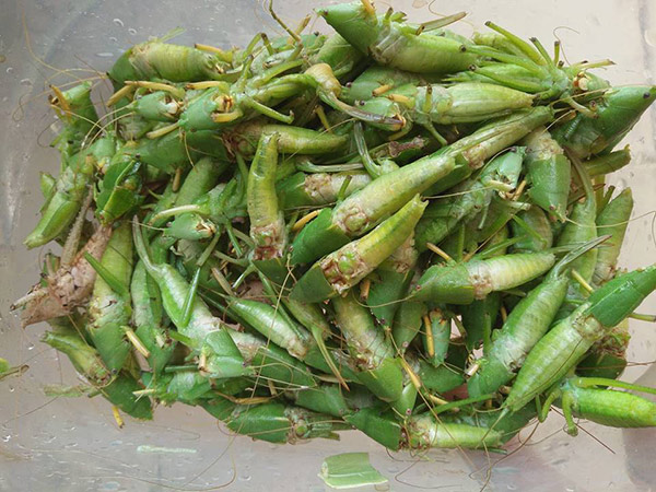 Dân tình nô nức ôn lại những món ăn vặt “thần thánh”, ai từng ăn chứng tỏ đã rất già - 6